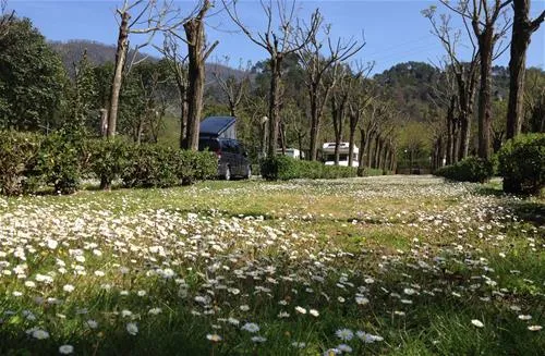 campeggio-pian-di-picche-levanto-vjacl