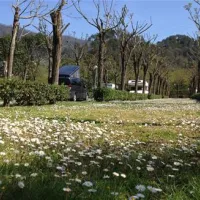 campeggio-pian-di-picche-levanto-vjacl