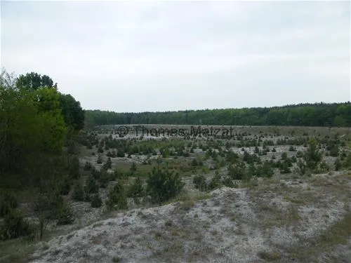 wohnmobilstellplatz-meusel-elsterheide-r6onr