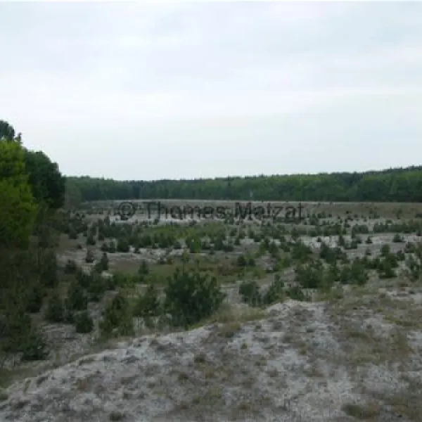 wohnmobilstellplatz-meusel-elsterheide-r6onr