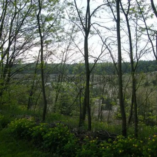 wohnmobilstellplatz-meusel-elsterheide-yf1xp