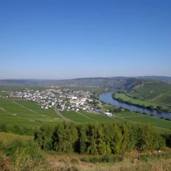 landal-sonnenberg-leiwen-16jpv