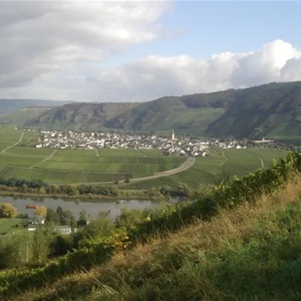 landal-sonnenberg-leiwen-ep1df