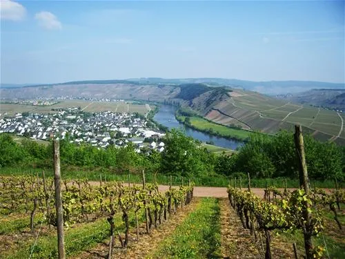 landal-sonnenberg-leiwen-s1rcq