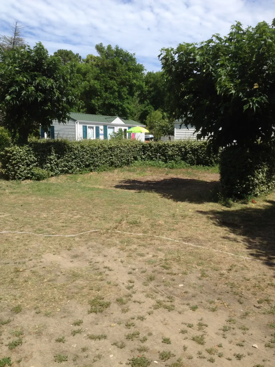 camping-le-cormoran-ars-en-re-b7zgj