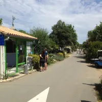 camping-le-cormoran-ars-en-re-cqpbj