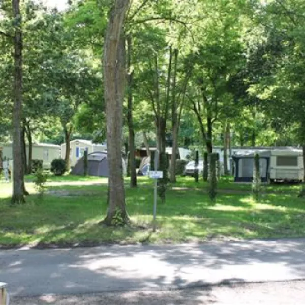 camping-les-acacias-la-ville-aux-dames-oyzbz