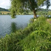 camp-am-maar-schalkenmehren-so1y9