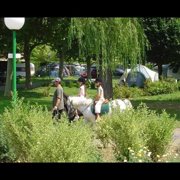 camping-les-confluents-migennes-ohn9e