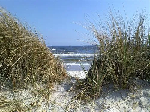 camping-grasbleek-schnberger-strand-qd4vj