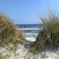 camping-grasbleek-schnberger-strand-qd4vj