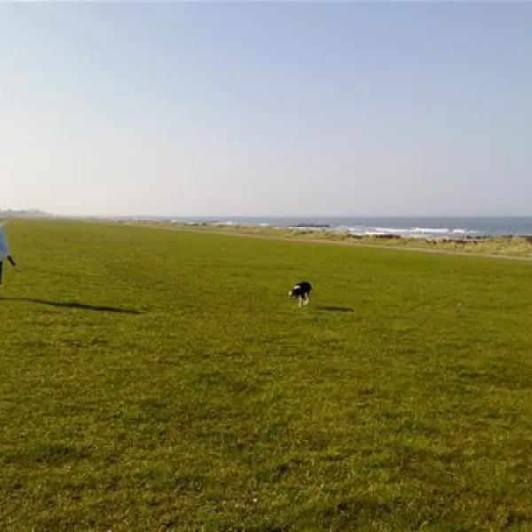camping-grasbleek-schnberger-strand-u2rhg