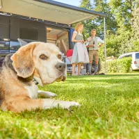 kur-und-feriencamping-dreiquellenbad-bad-griesbach-ilkaa