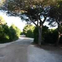riva-di-ugento-ugento-8eppm