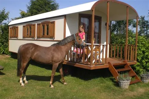 komfortcamping-seeburger-see-seeburg-o74tp
