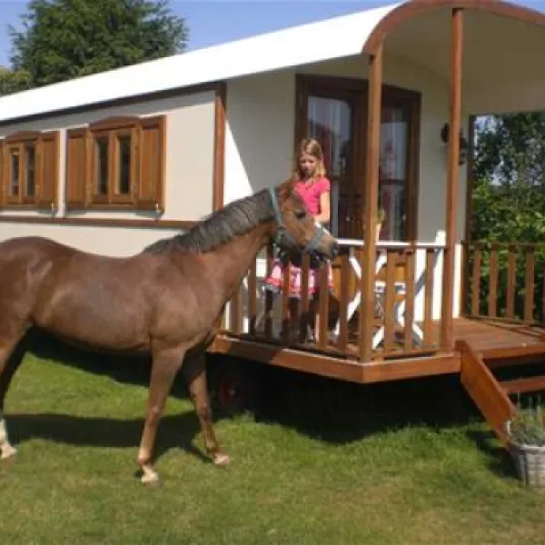 komfortcamping-seeburger-see-seeburg-o74tp