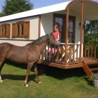 komfortcamping-seeburger-see-seeburg-o74tp