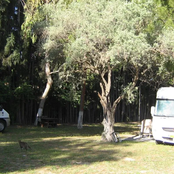 camping-yat-kusadasi-x30s3