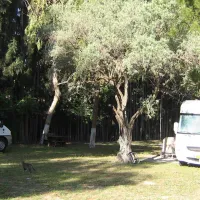 Camping Yat