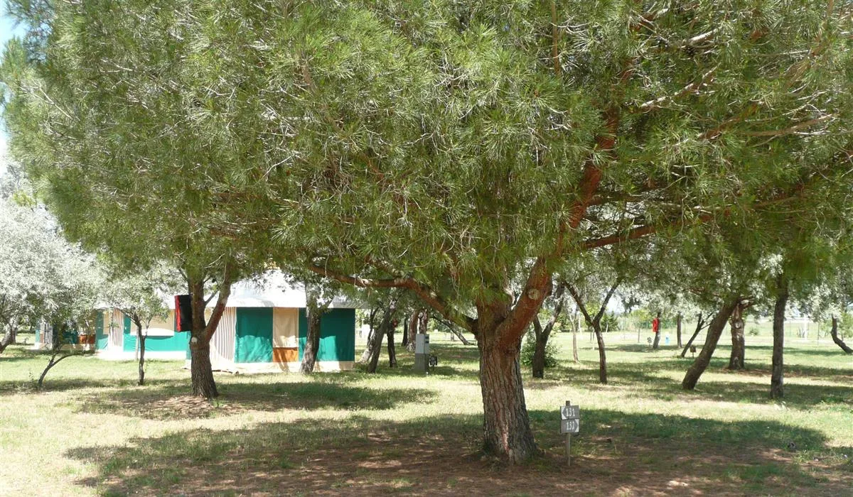 camping-les-flamants-roses-saintnazaire-ch9eo
