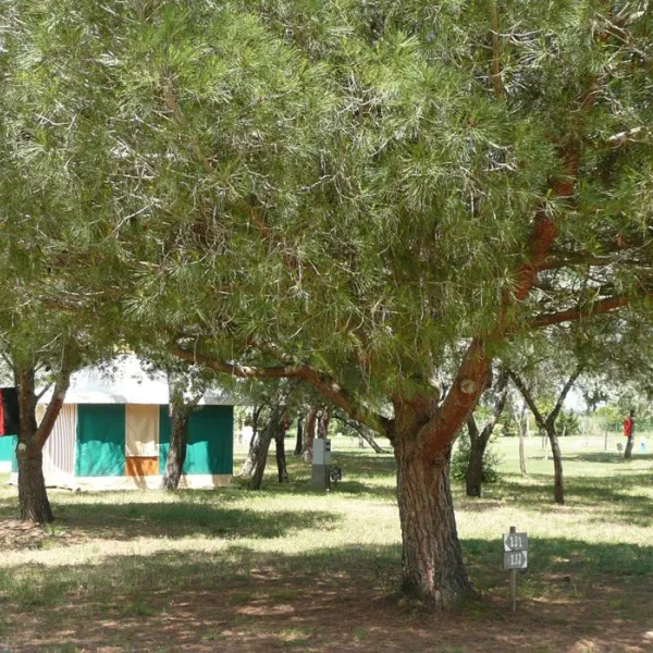 camping-les-flamants-roses-saintnazaire-ch9eo