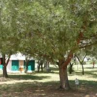 camping-les-flamants-roses-saintnazaire-ch9eo
