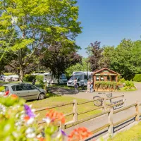 camping-municipal-les-pins-haguenau-0jxkn
