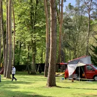 camping-municipal-les-pins-haguenau-b0nda