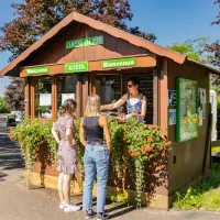 camping-municipal-les-pins-haguenau-ccoqw