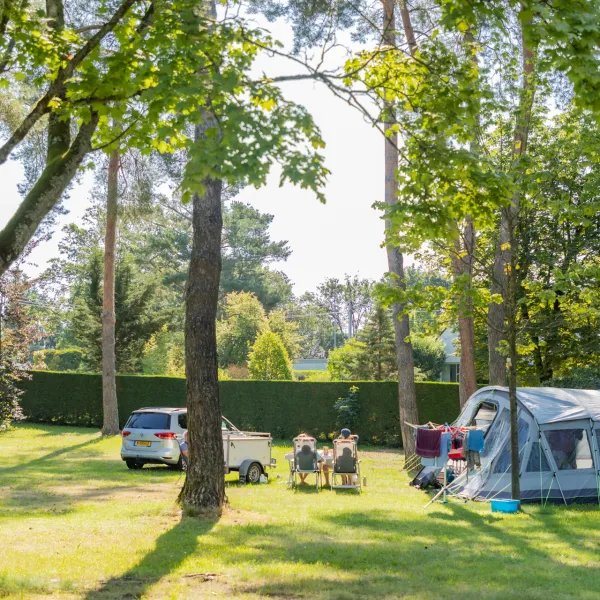 Camping municipal Les Pins