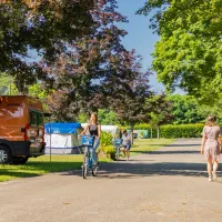 camping-municipal-les-pins-haguenau-wxupk