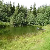 Camping Kökkö