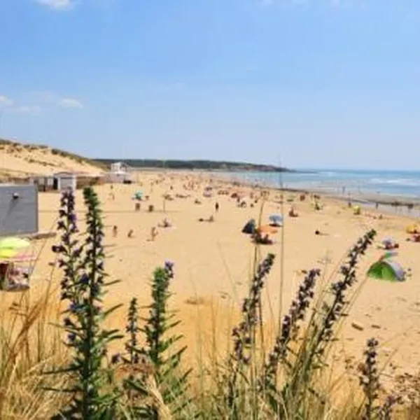 camping-club-les-dinosaures-talmont-saint-hilaire-gg24x