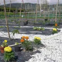agricamping--alessandra-ameglia-per-camper-ameglia-sp-35wcf