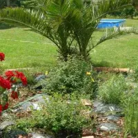 agricamping--alessandra-ameglia-per-camper-ameglia-sp-9ss4i