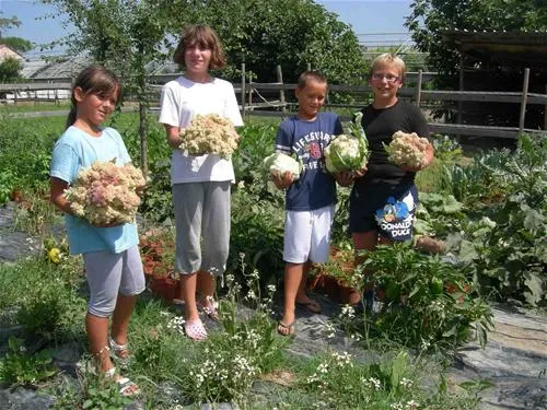 agricamping--alessandra-ameglia-per-camper-ameglia-sp-ip0wh