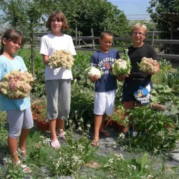 agricamping--alessandra-ameglia-per-camper-ameglia-sp-ip0wh