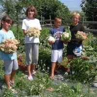 agricamping--alessandra-ameglia-per-camper-ameglia-sp-ip0wh