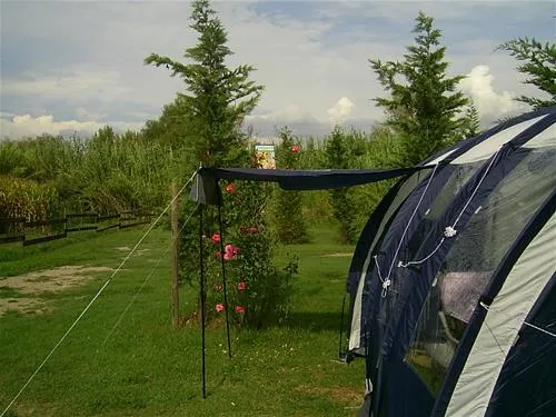 agricamping--alessandra-ameglia-per-camper-ameglia-sp-xbdz9