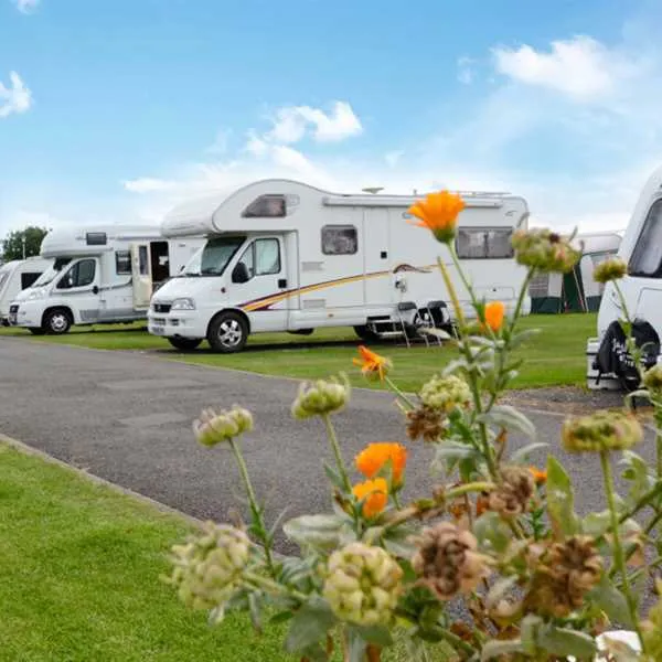 country-meadows-touring-park-skegness-491rj