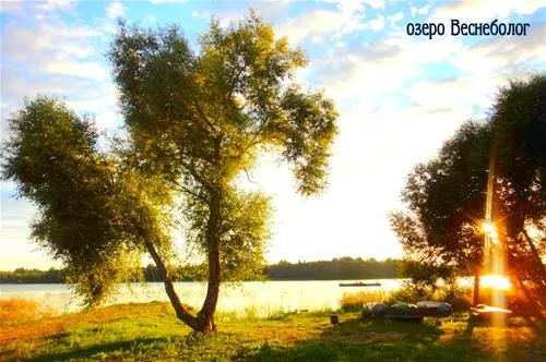vesnebolog-sochihino-boqxt