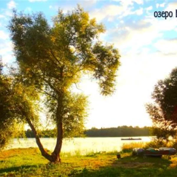 vesnebolog-sochihino-boqxt