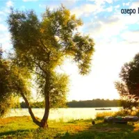 vesnebolog-sochihino-boqxt