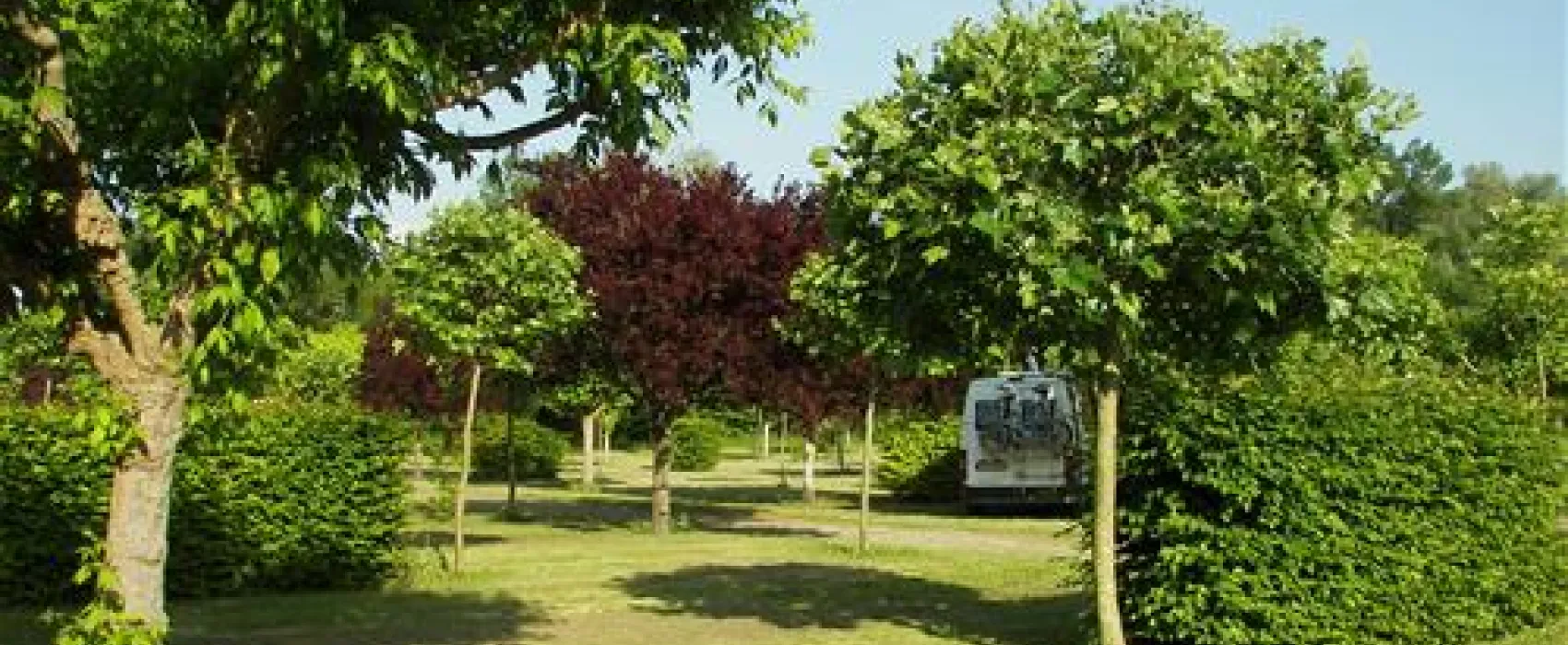 Camping Municipal  