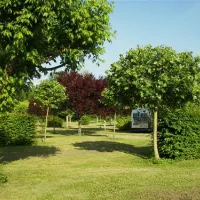 camping-municipal-aubeterre-sur-dronne-mf8ct