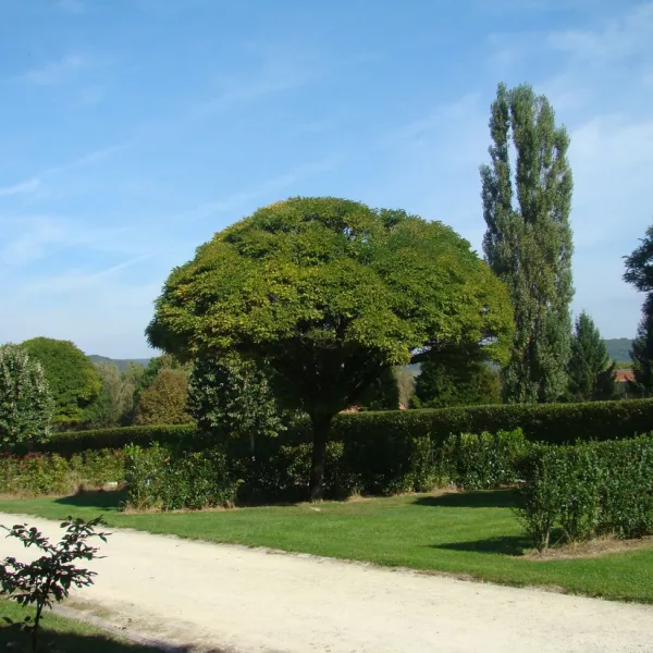 camping-le-montemorency-bourbonne-les-bains-q0sea