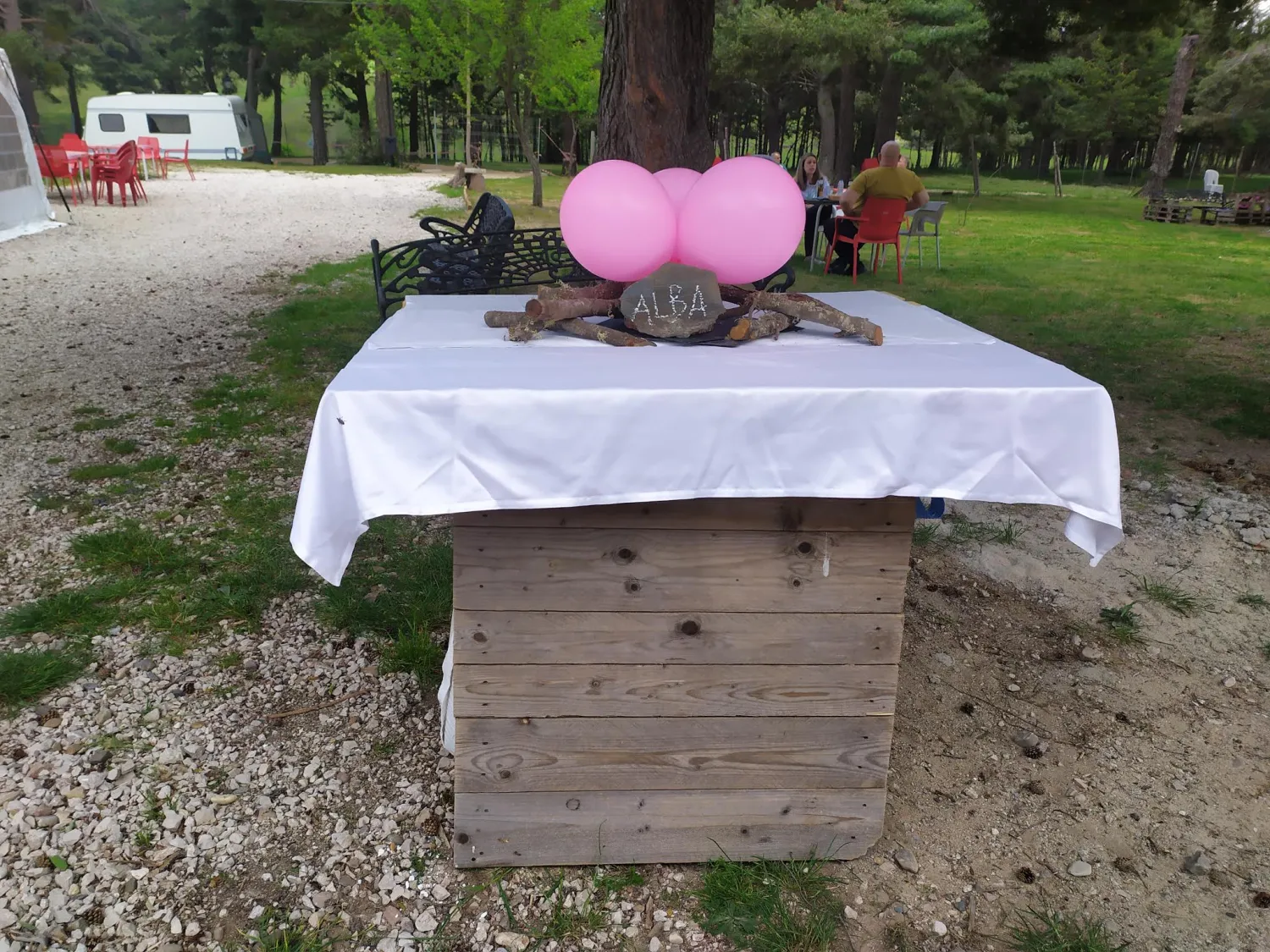 camping-los-bonales-cantalojas-1hhyn