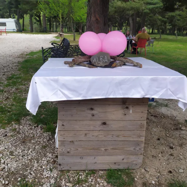 camping-los-bonales-cantalojas-1hhyn