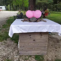 camping-los-bonales-cantalojas-1hhyn