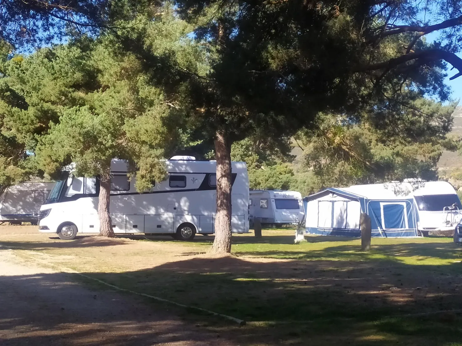 camping-los-bonales-cantalojas-idzl6